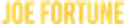 Joe Fortune Casino Logo